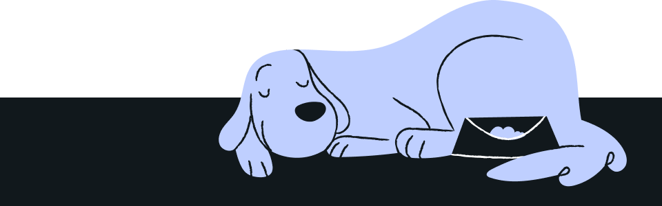 Sleeping dog